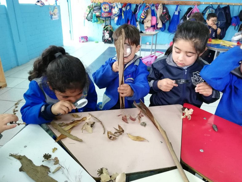 BUSCANDO Y OBSERVANDO EN LA NATURALEZA – Colegio Entre Valles
